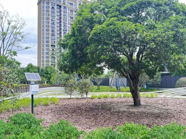 0206_140804_225.jpg 微信图片_2025-02-06_104952_423.png