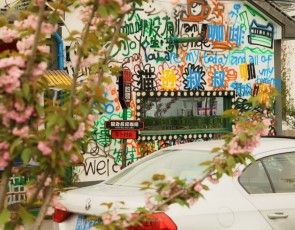 报名，2025年青浦区元旦迎新徒步活动，走起来！