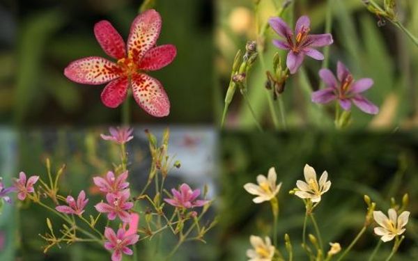 IMG_1713-2 拷贝.jpg