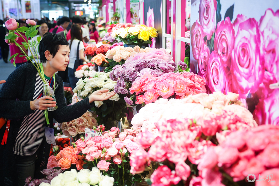 参观者在鲜花展品前驻足欣赏.jpg
