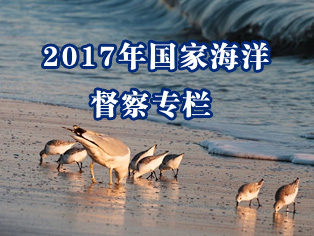 2017年国家海洋督查专栏 2017年国家海洋督查专栏