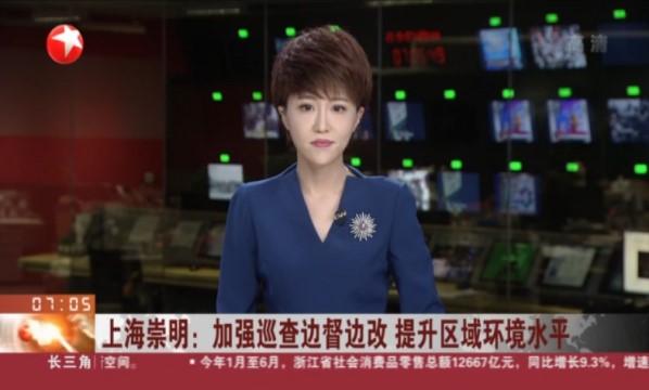 上海崇明：加强巡查边督边改 提升区域环境水平