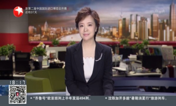 上海：完善环保工作长效机制 浦东新区边督边改