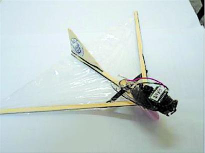 同济课题组探索昆虫动力飞机技术